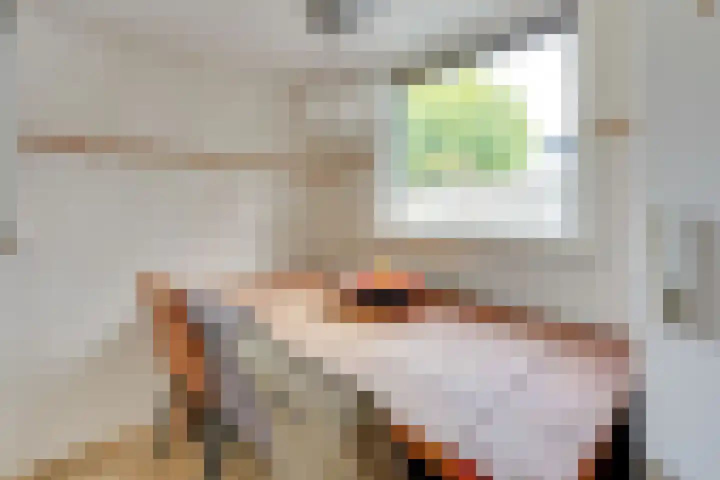 Schildpadweide 15 Nieuwegein thumbnail 21