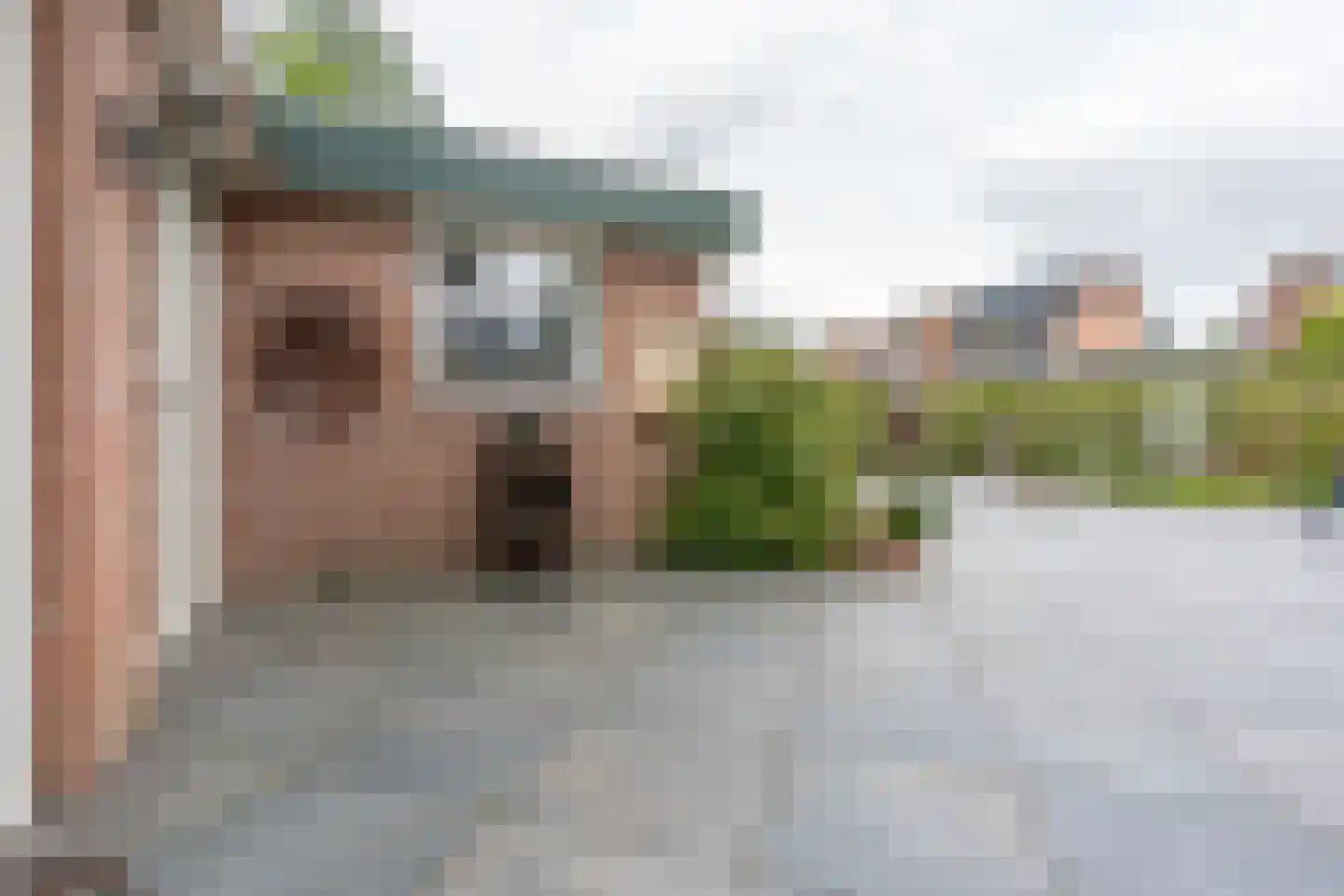 Schildpadweide 15 Nieuwegein thumbnail 25