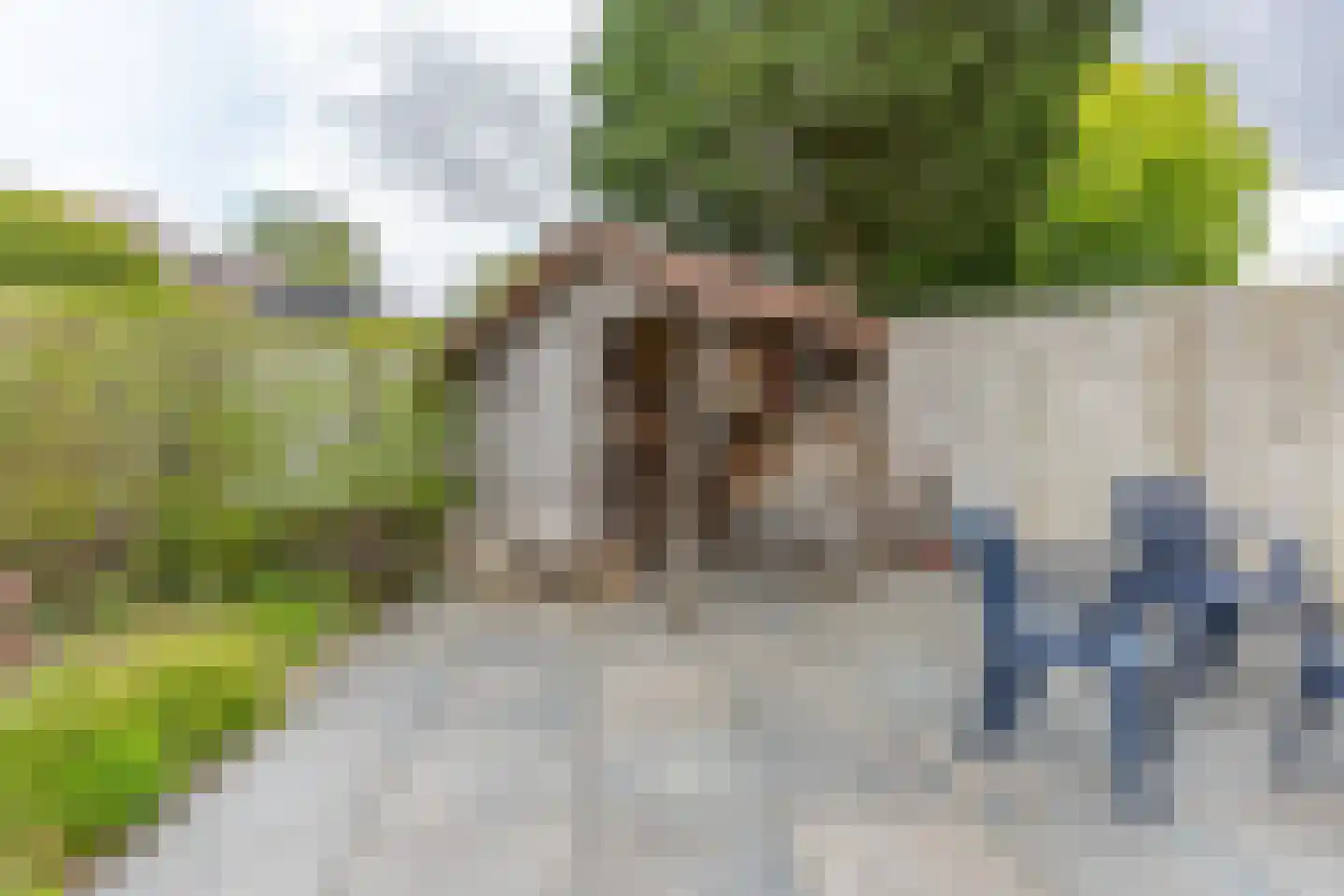 Schildpadweide 15 Nieuwegein thumbnail 29