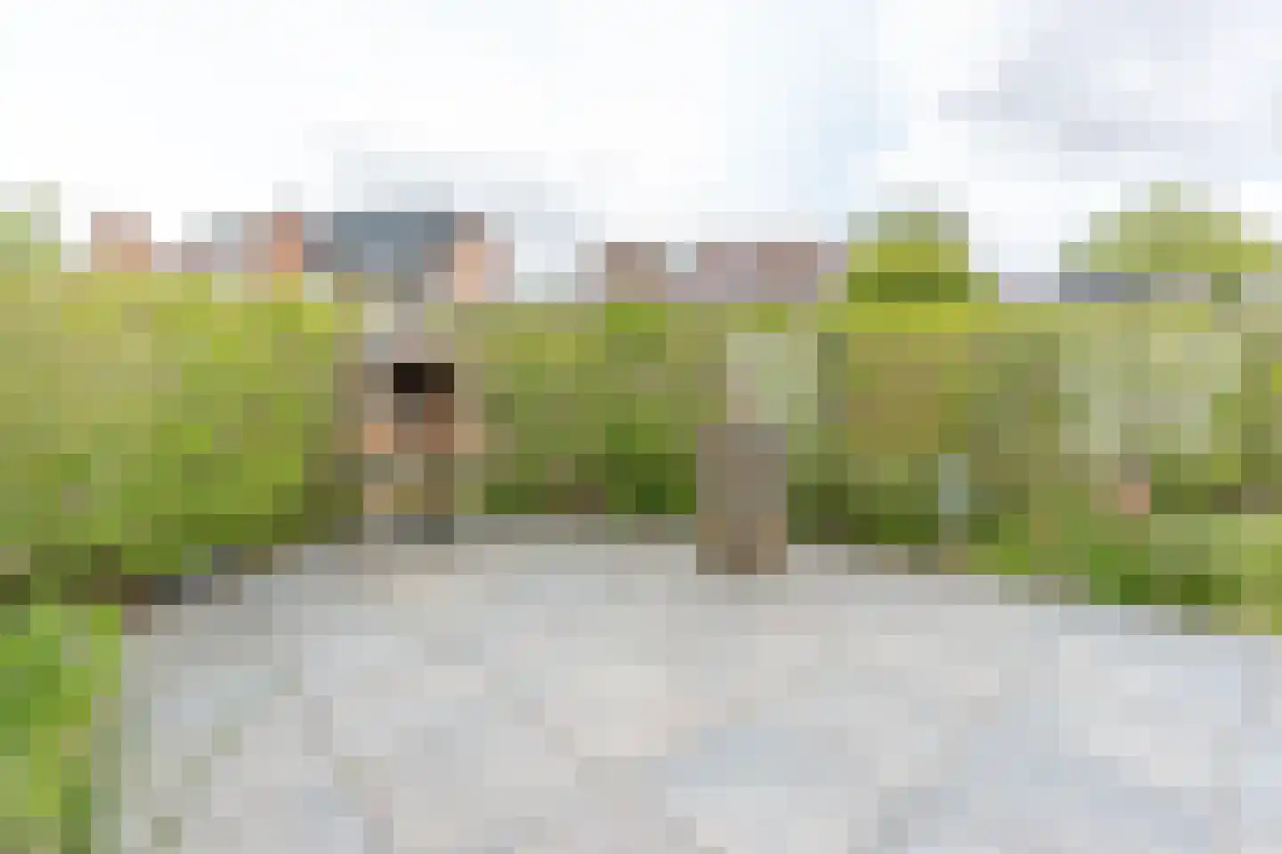 Schildpadweide 15 Nieuwegein thumbnail 32