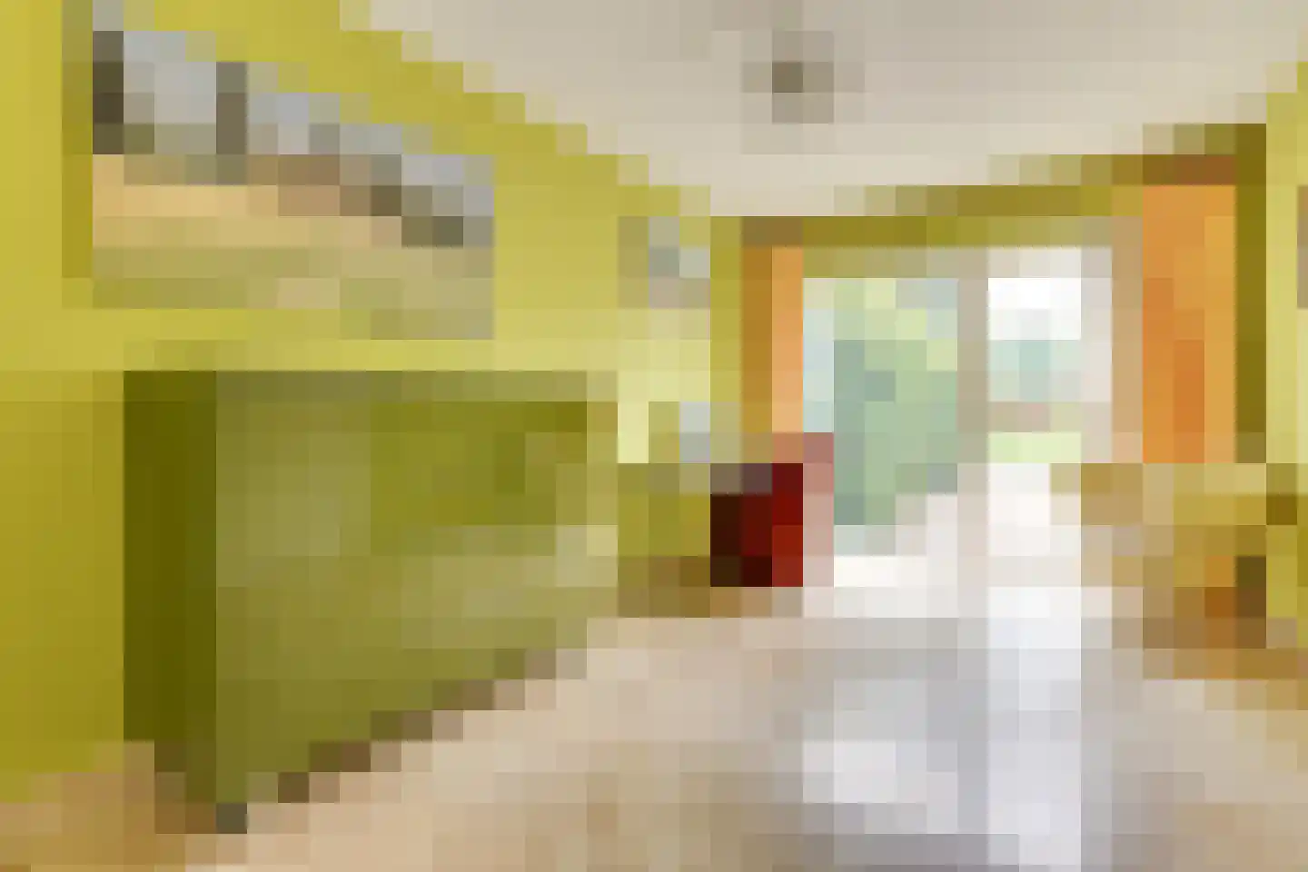 Schildpadweide 15 Nieuwegein thumbnail 35