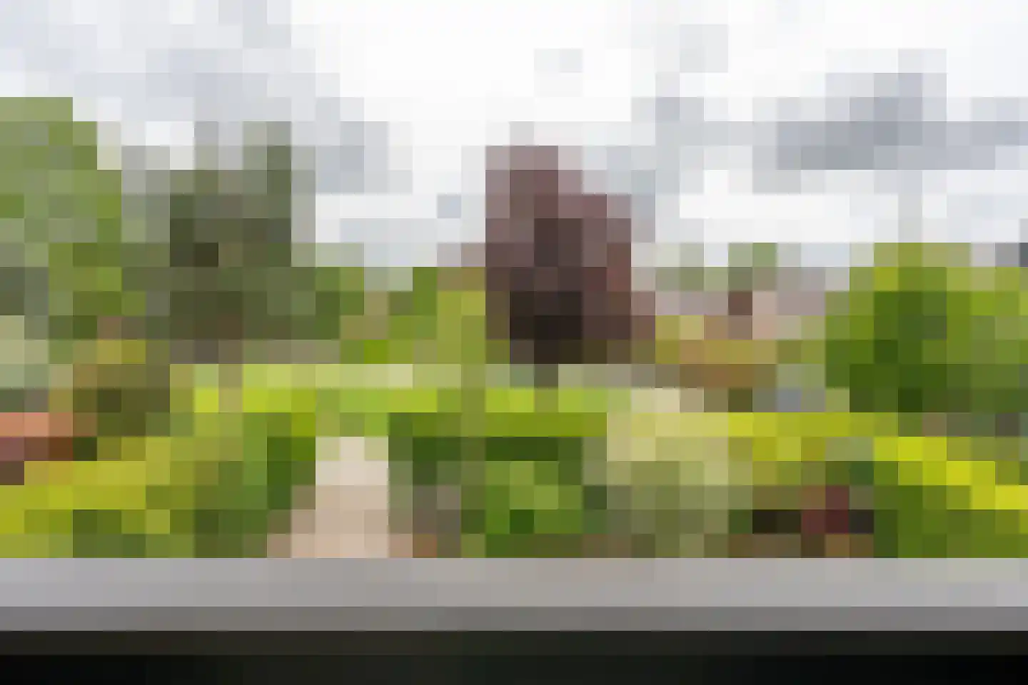 Schildpadweide 15 Nieuwegein thumbnail 56