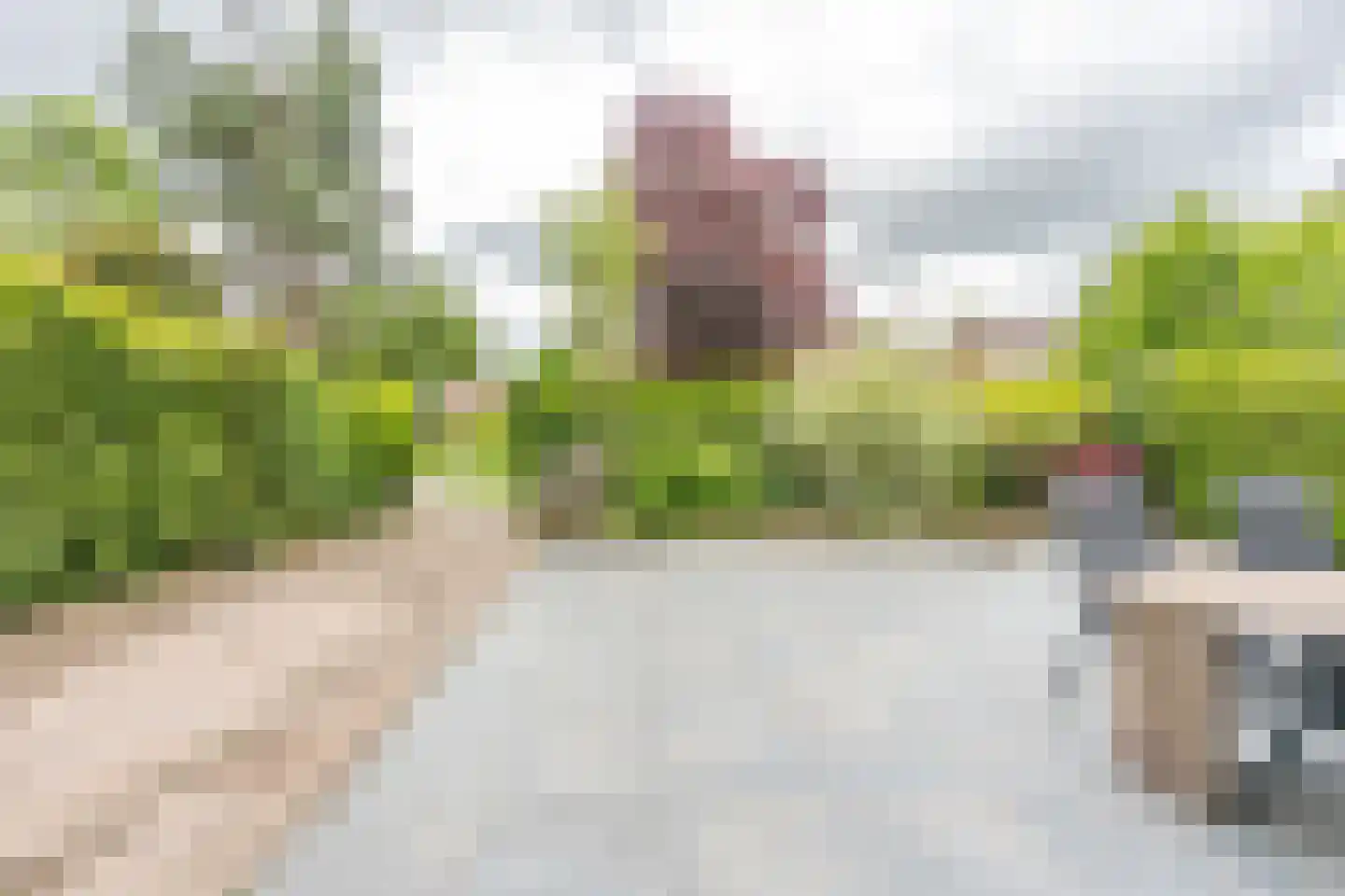 Schildpadweide 15 Nieuwegein thumbnail 78
