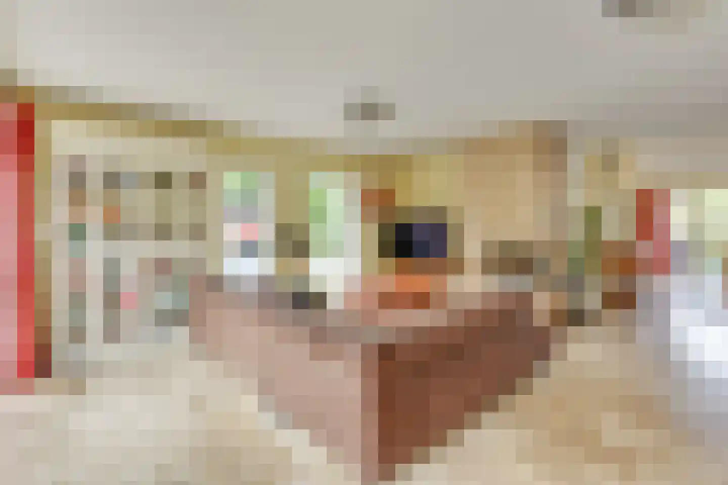 Schildpadweide 15 Nieuwegein thumbnail 8
