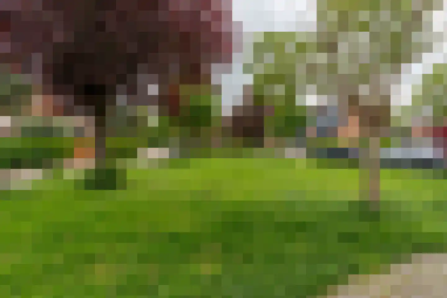 Schildpadweide 15 Nieuwegein thumbnail 80