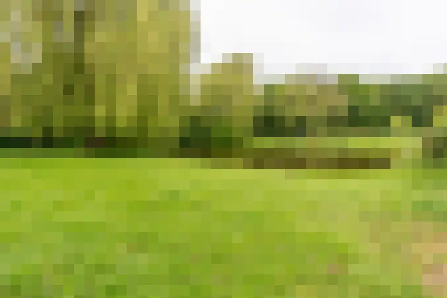 Schildpadweide 15 Nieuwegein thumbnail 83