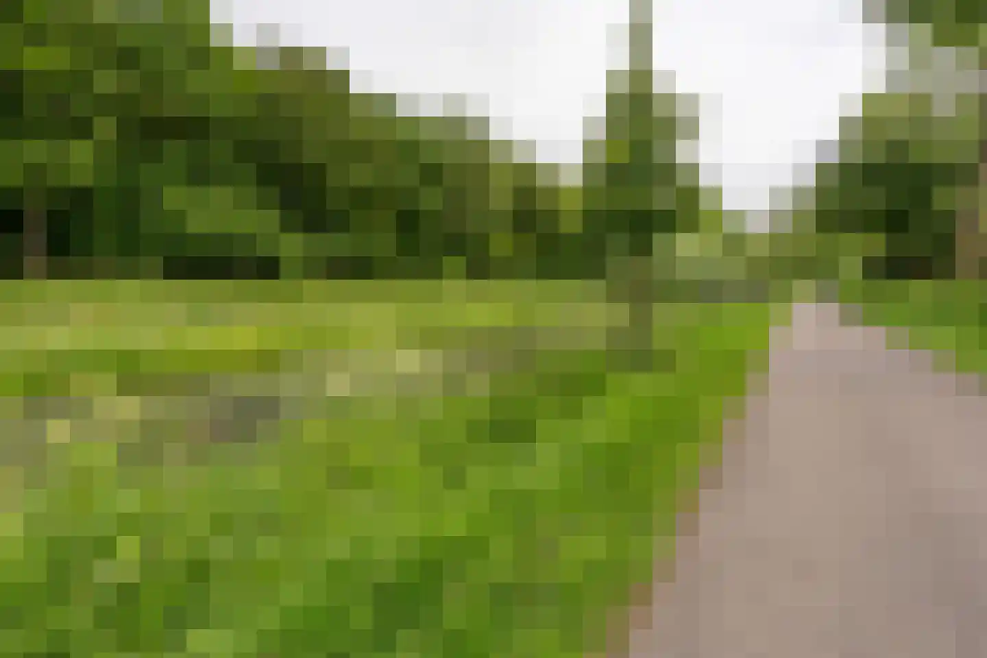 Schildpadweide 15 Nieuwegein thumbnail 84