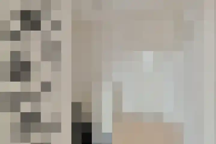 Schildruwe 8 Maastricht thumbnail 11