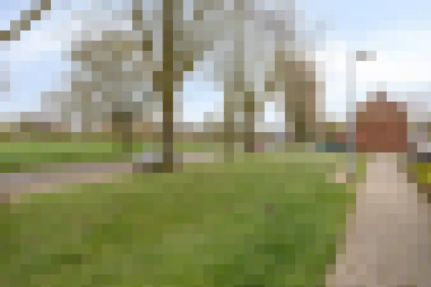 Schildruwe 8 Maastricht thumbnail 17