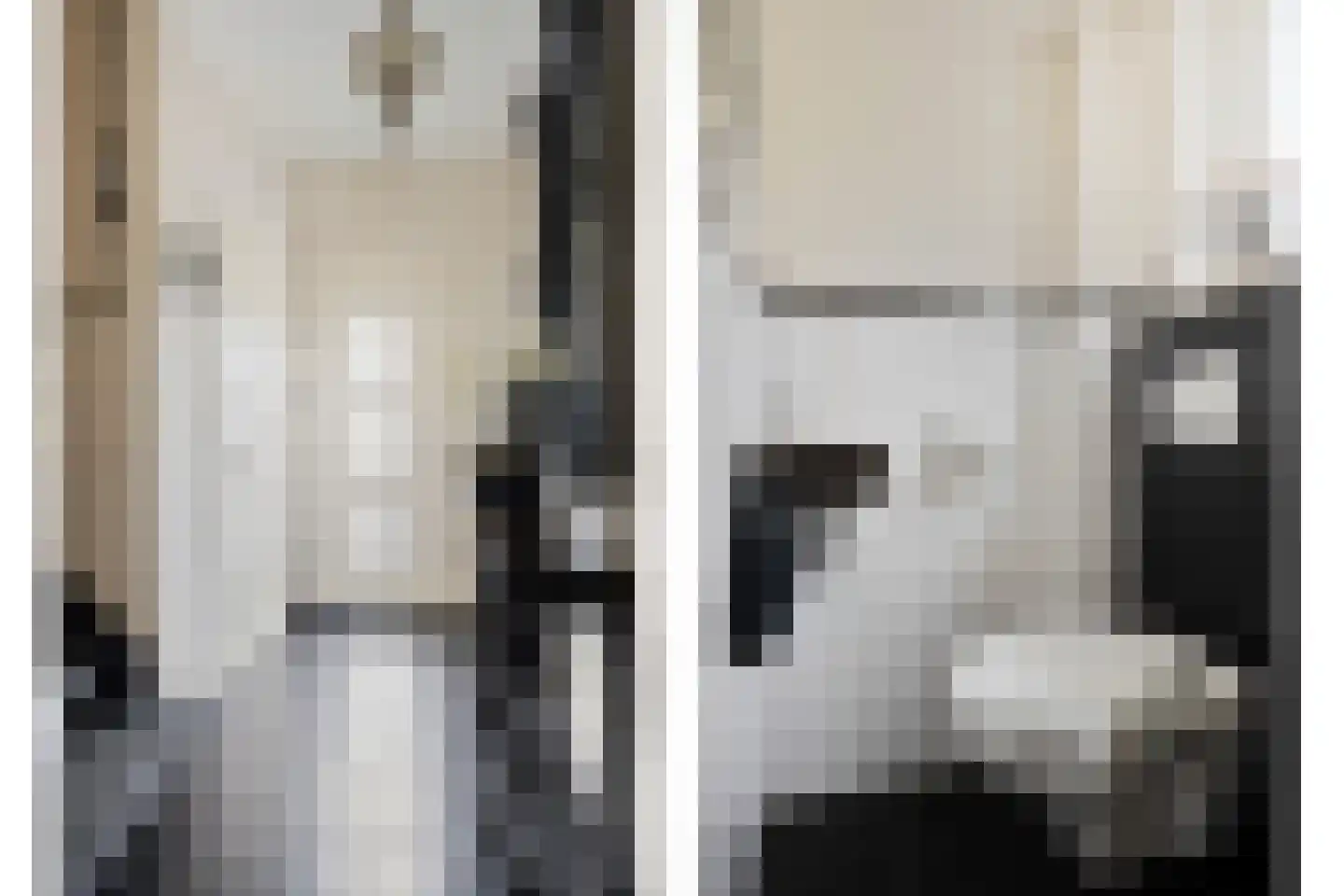 Schildruwe 8 Maastricht thumbnail 7