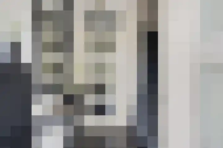 Schildruwe 8 Maastricht thumbnail 8