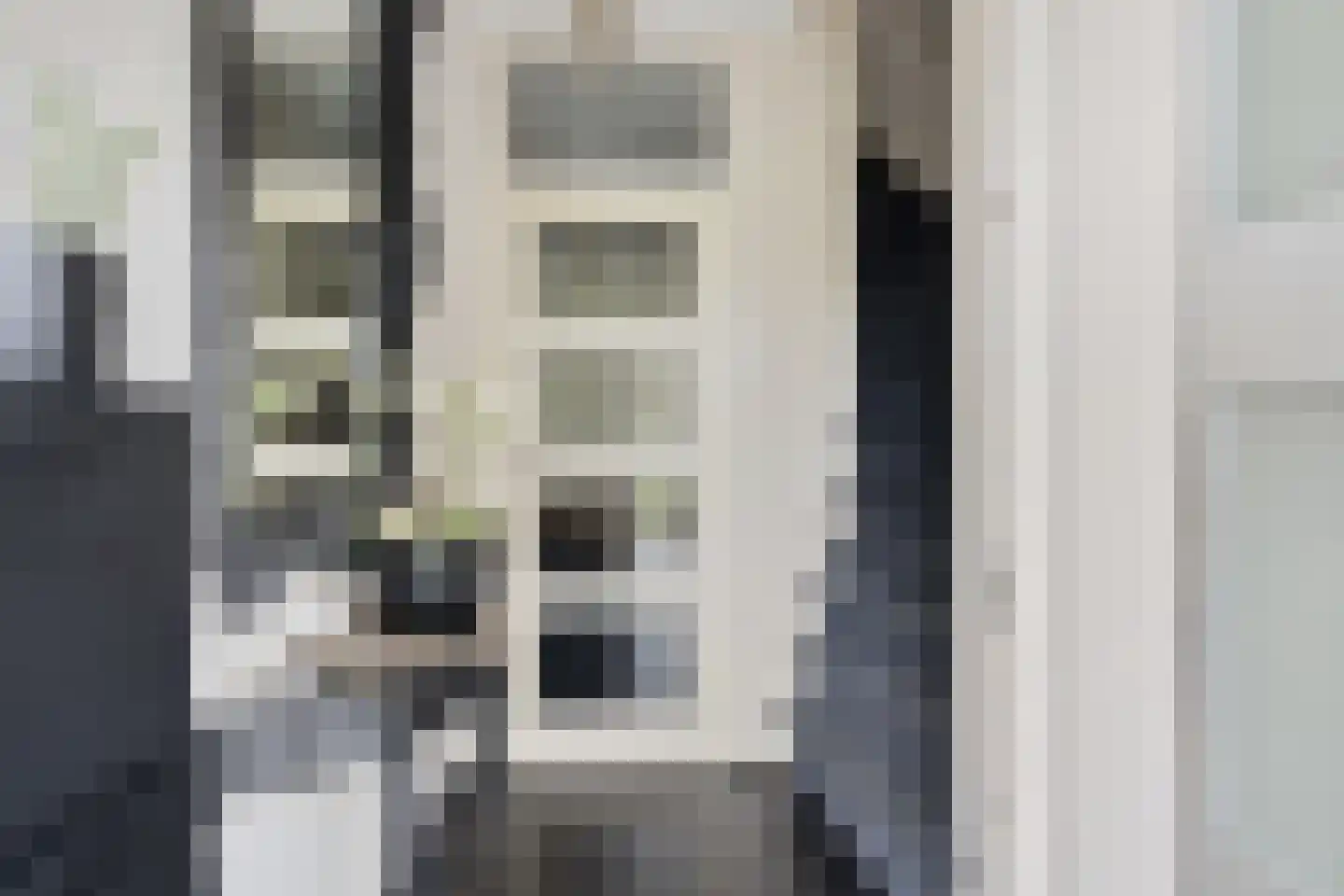 Schildruwe 8 Maastricht thumbnail 8