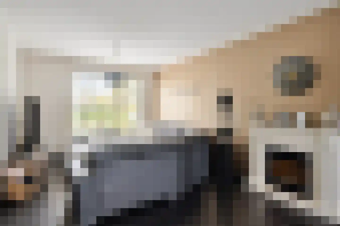 Schildruwe 8 Maastricht thumbnail 9