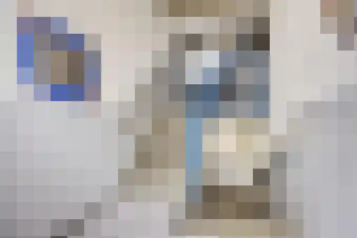 Schildstraat 13 A Rotterdam foto 3