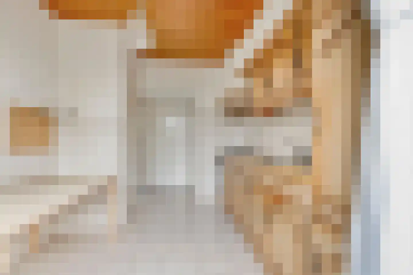 Schildstraat 4 Erp thumbnail 10