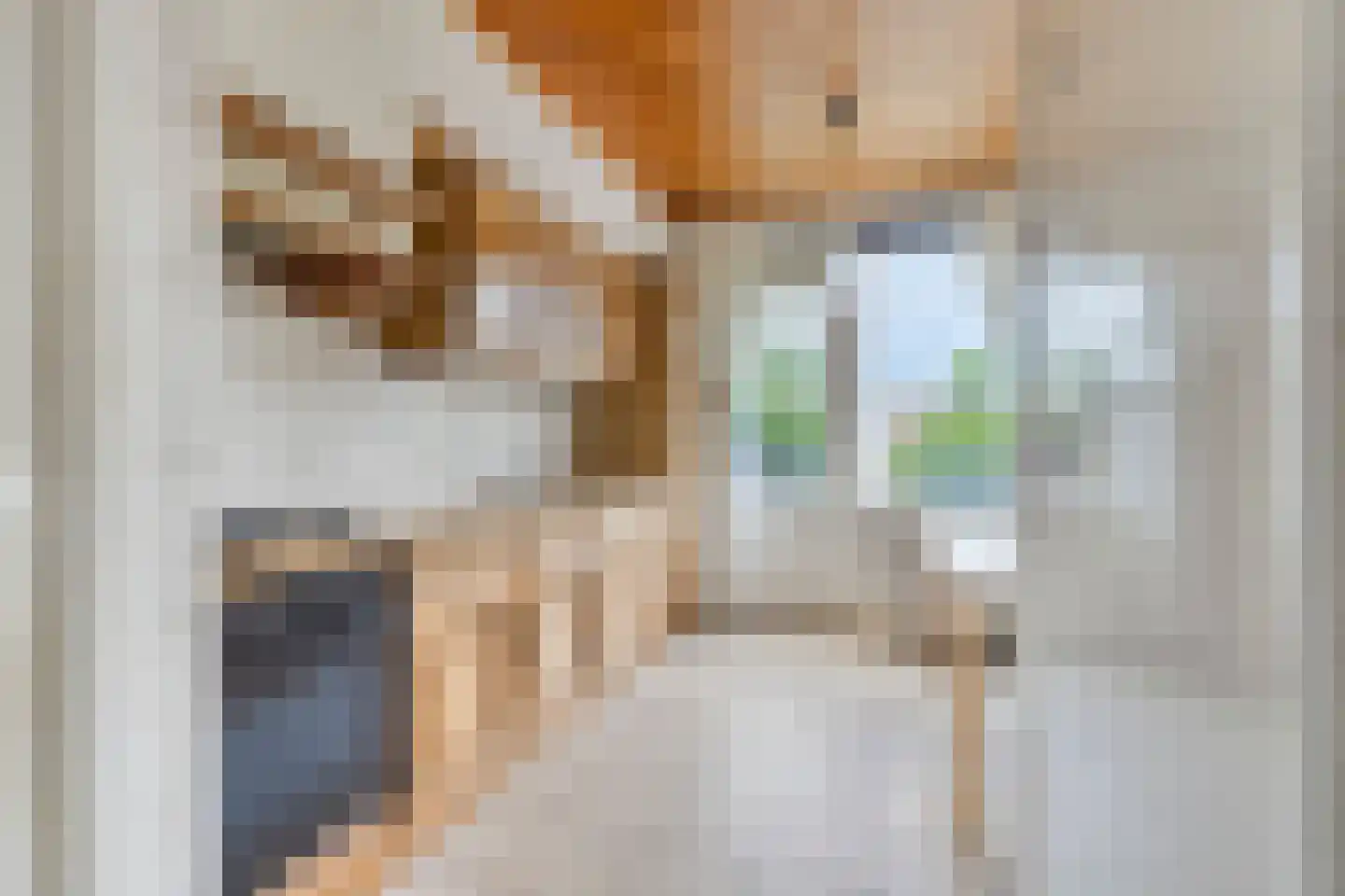 Schildstraat 4 Erp thumbnail 8