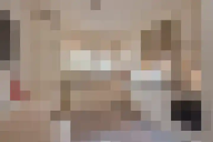Schildstraat 6 Delfgauw thumbnail 12