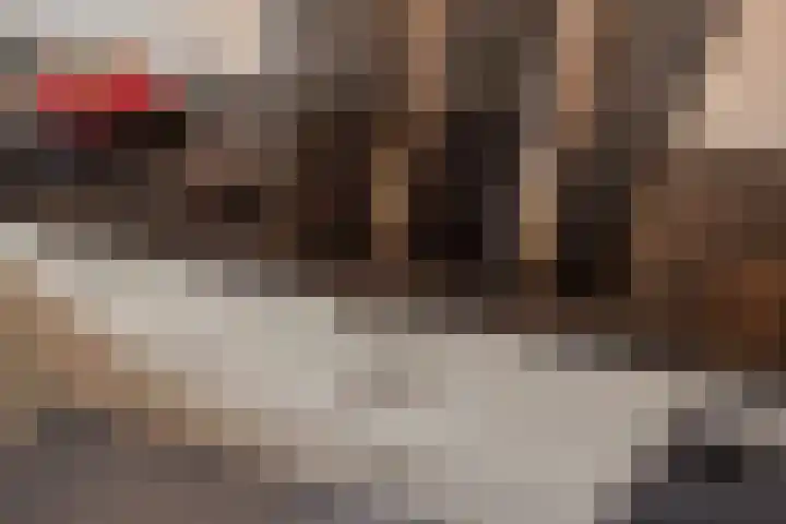 Schildstraat 6 Delfgauw thumbnail 14