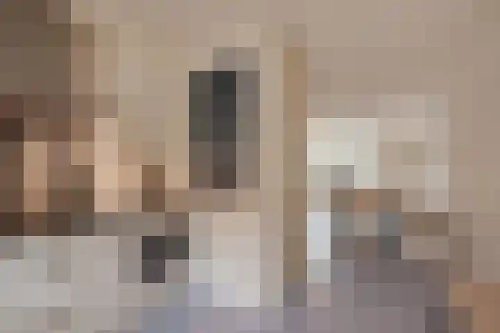 Schildstraat 6 Delfgauw thumbnail 15