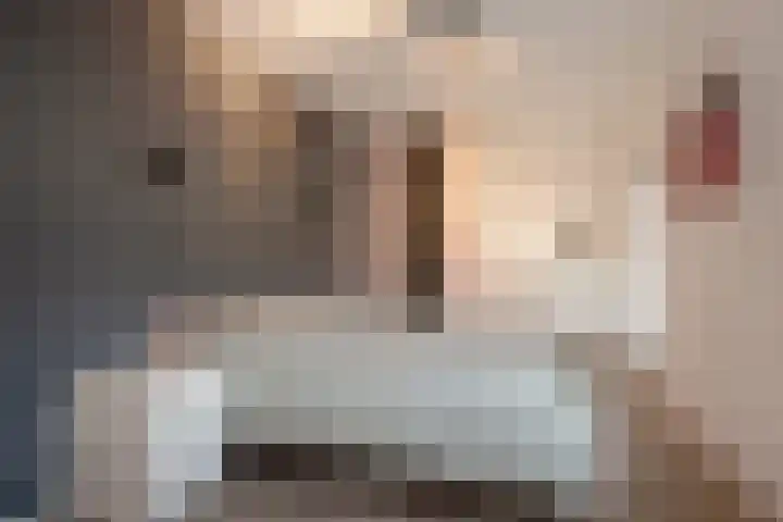 Schildstraat 6 Delfgauw thumbnail 20