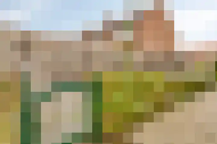 Schildstraat 6 Delfgauw thumbnail 30