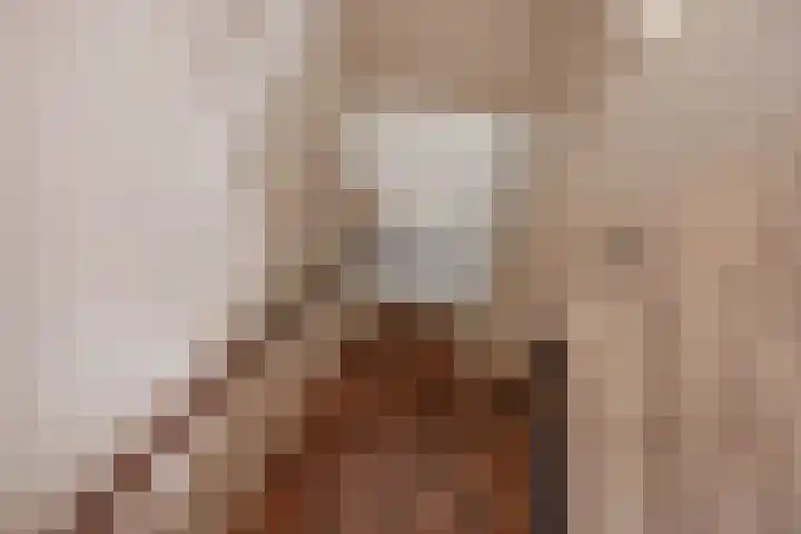 Schildstraat 6 Delfgauw thumbnail 35