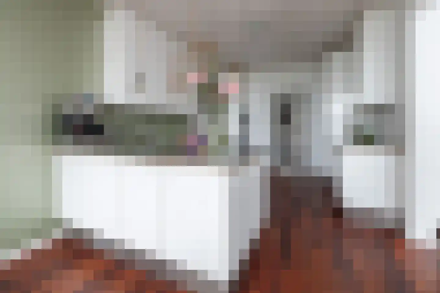 Schildstraat 6 Delfgauw thumbnail 38
