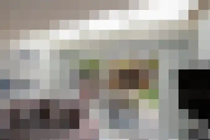 Schildstraat 6 Delfgauw thumbnail 6