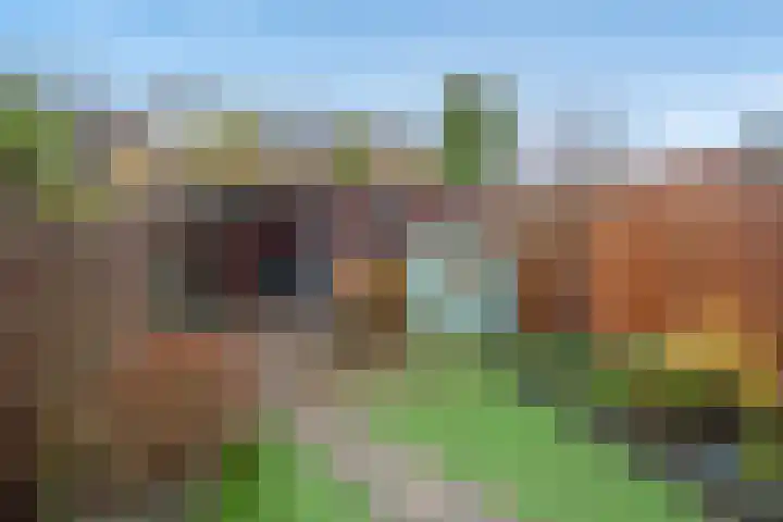 Schildstraat 6 Delfgauw thumbnail 8