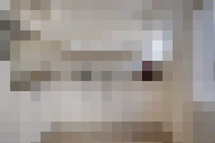 Schildstraat 9 Eindhoven thumbnail 12