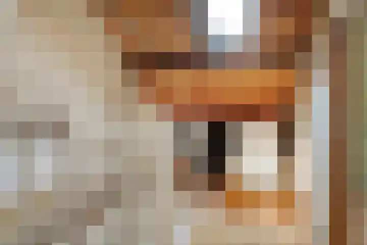 Schildstraat 9 Eindhoven thumbnail 25
