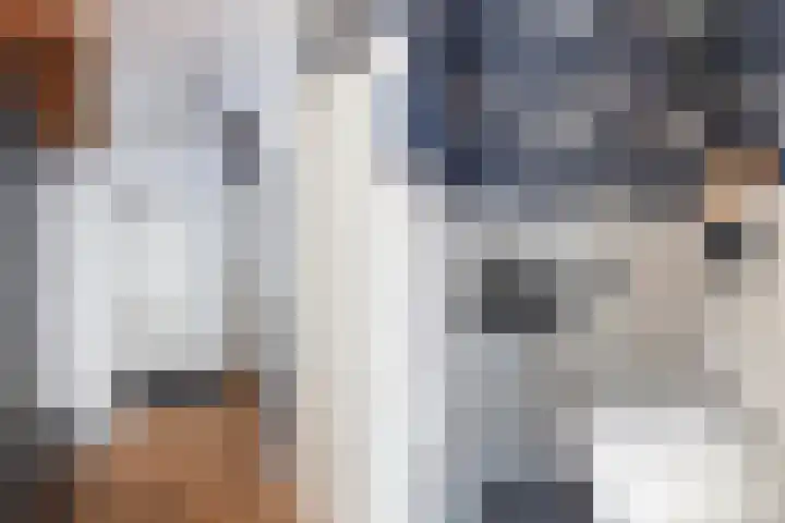 Schildtale 9 Maasland thumbnail 11