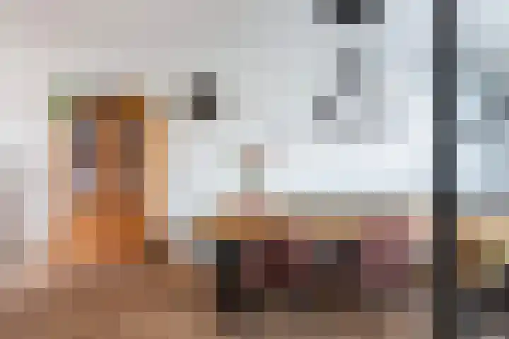 Schildtale 9 Maasland thumbnail 12