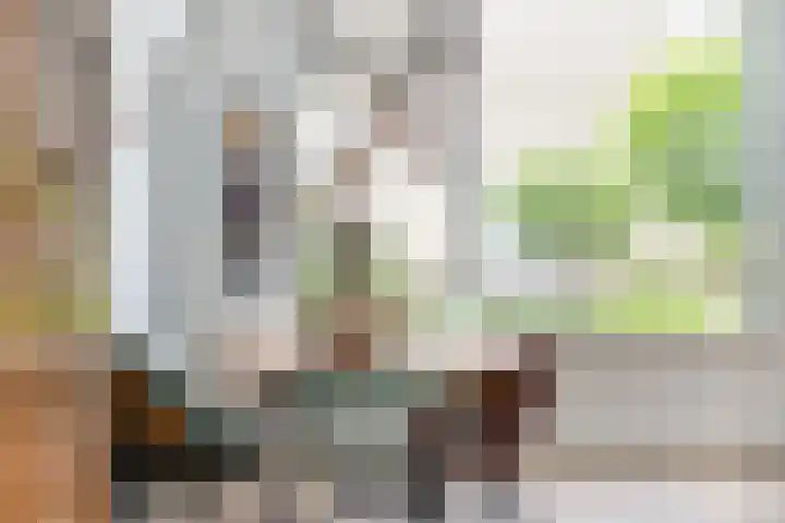 Schildtale 9 Maasland thumbnail 18