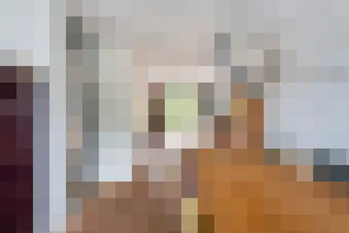Schildtale 9 Maasland thumbnail 19
