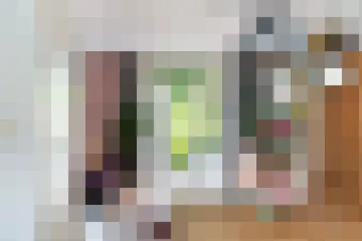Schildtale 9 Maasland thumbnail 20