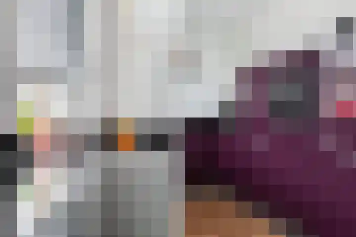 Schildtale 9 Maasland thumbnail 21
