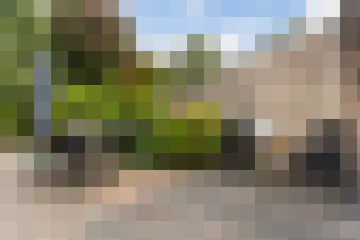 Schildtale 9 Maasland thumbnail 26