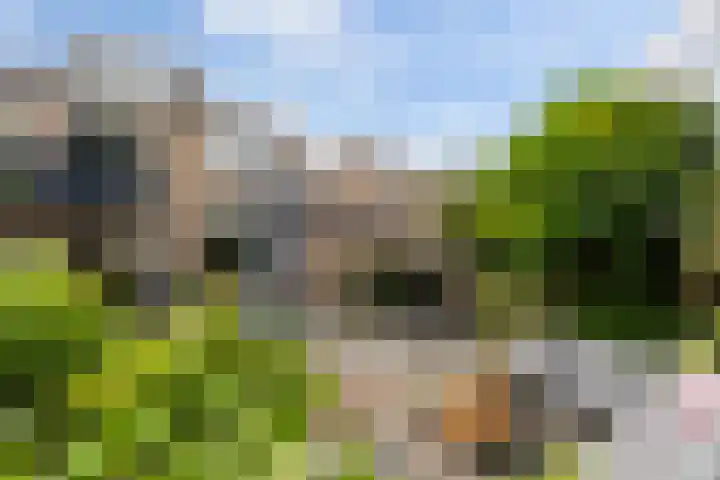 Schildtale 9 Maasland thumbnail 29