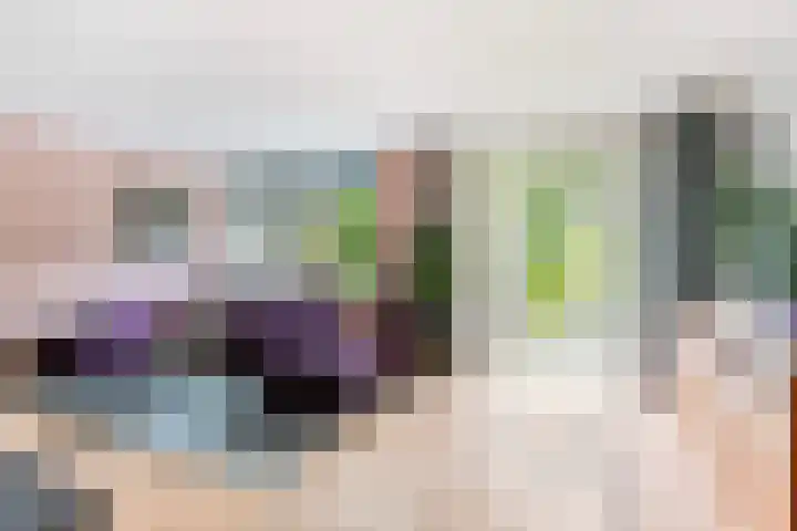 Schildtale 9 Maasland foto 3