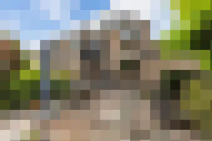 Schildtale 9 Maasland thumbnail 30