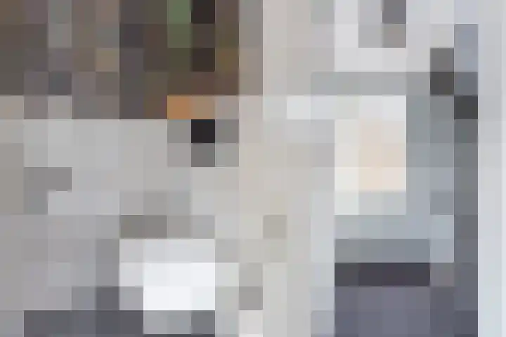 Schildtale 9 Maasland thumbnail 32