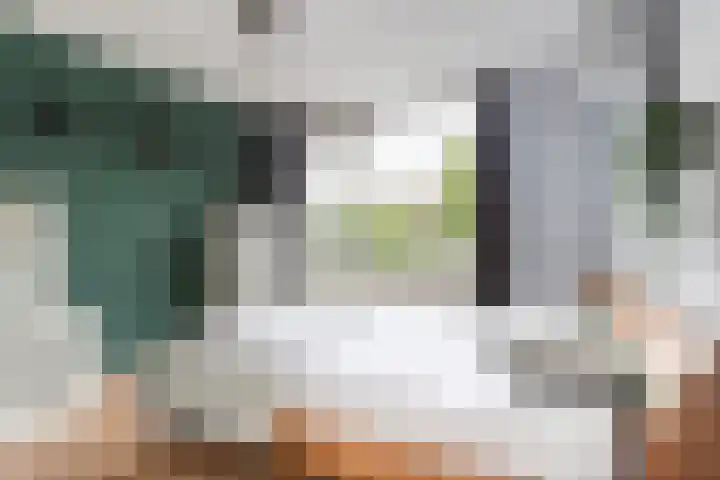 Schildtale 9 Maasland thumbnail 33
