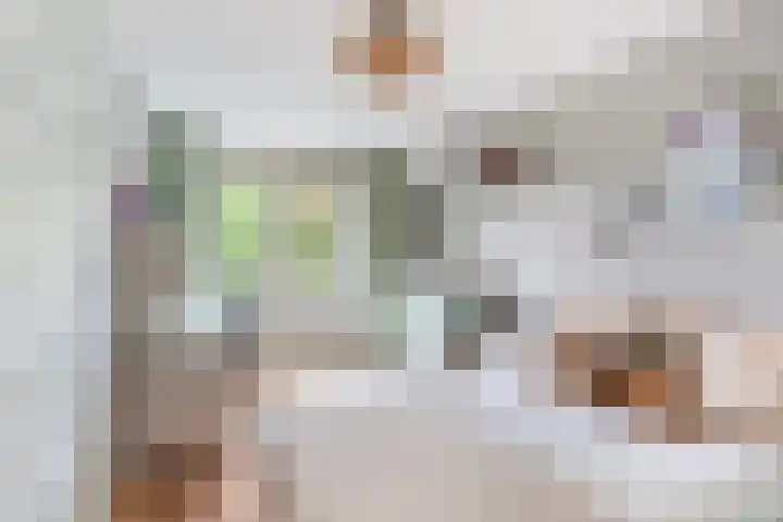 Schildtale 9 Maasland thumbnail 36