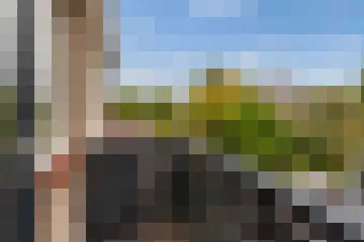 Schildtale 9 Maasland thumbnail 38