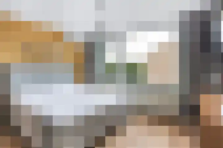 Schildtale 9 Maasland thumbnail 40