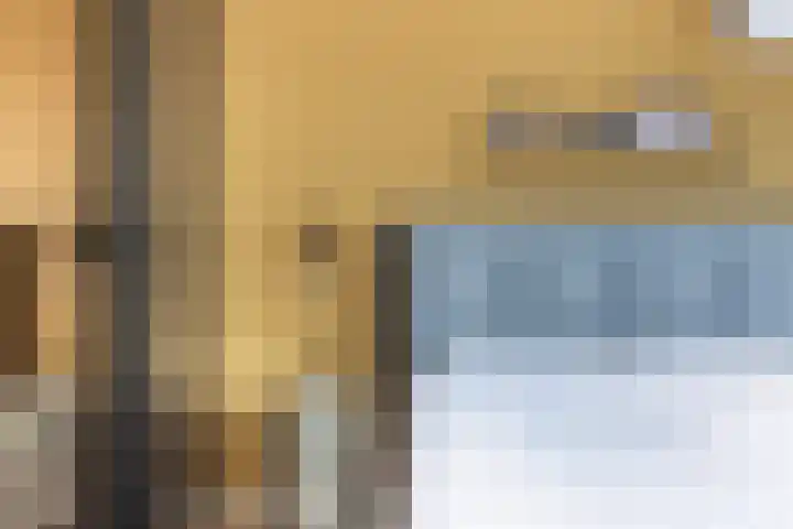 Schildtale 9 Maasland thumbnail 41