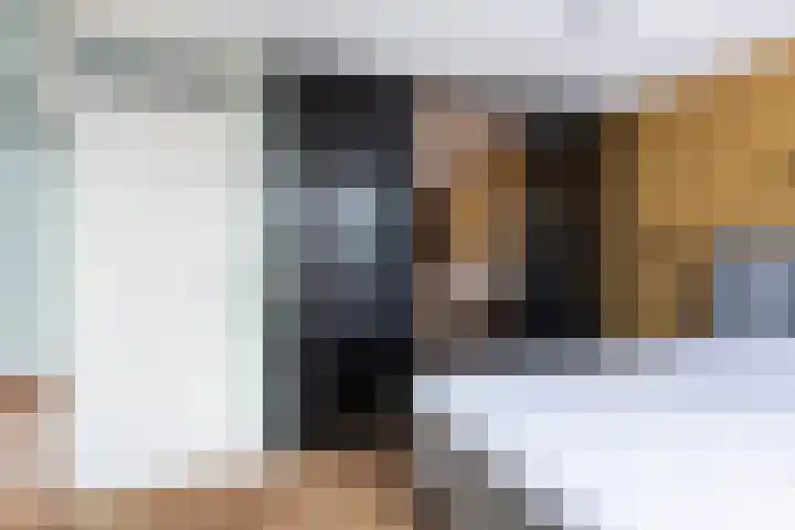 Schildtale 9 Maasland thumbnail 42
