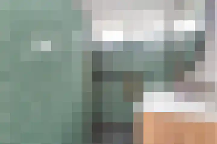 Schildtale 9 Maasland thumbnail 44