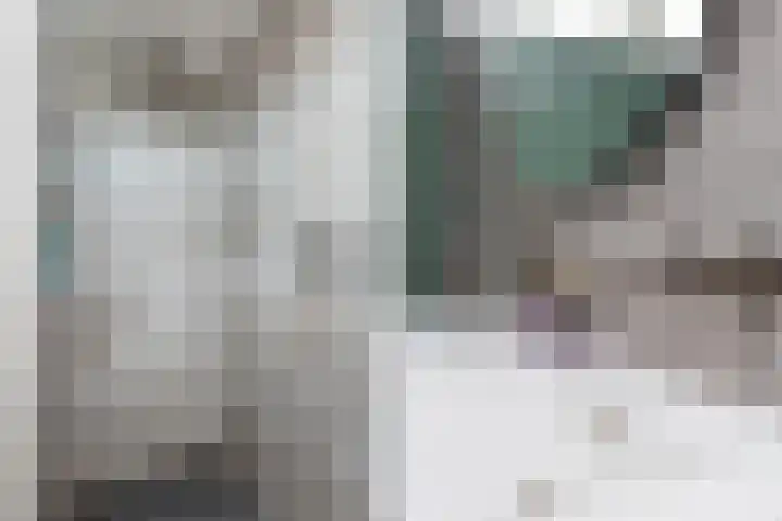 Schildtale 9 Maasland thumbnail 45